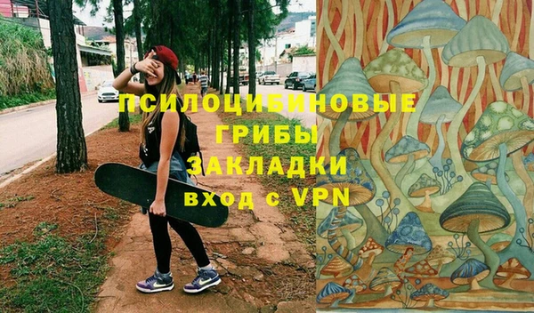 метамфетамин Козловка