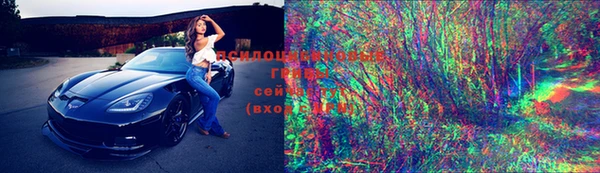 молекула духа Козельск