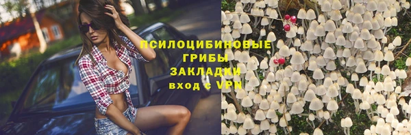 молекула духа Козельск