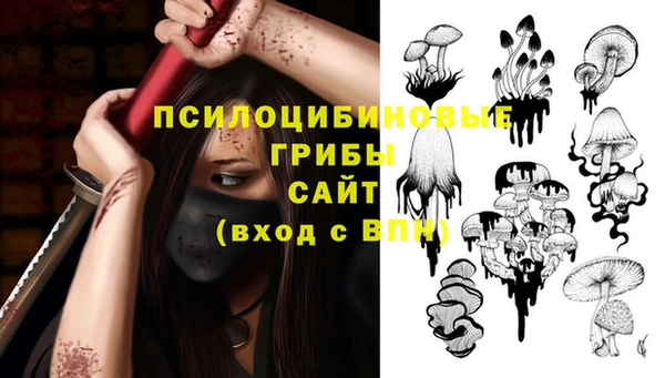 молекула духа Козельск