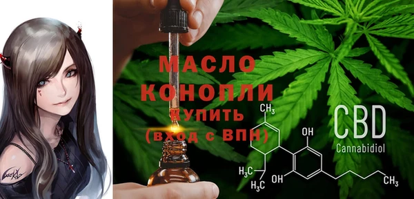 молекула духа Козельск