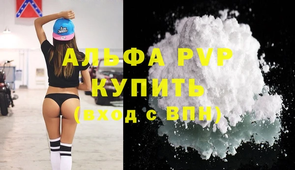 молекула духа Козельск