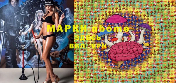 молекула духа Козельск
