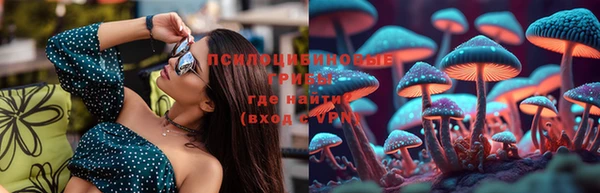 метамфетамин Козловка