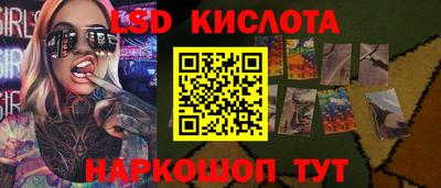 амф Гатчина