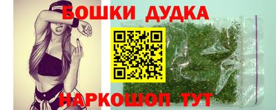 амф Гатчина