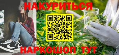 амф Гатчина