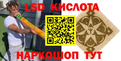 амф Гатчина