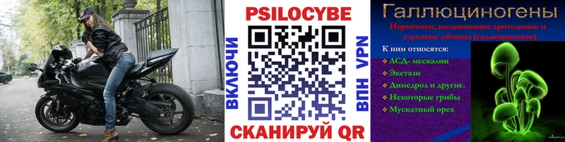 Псилоцибиновые грибы Magic Shrooms  hydra как войти  Горно-Алтайск 
