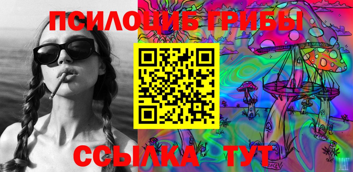 Псилоцибиновые грибы Psilocybine cubensis  Вход с VPN  Горно-Алтайск 