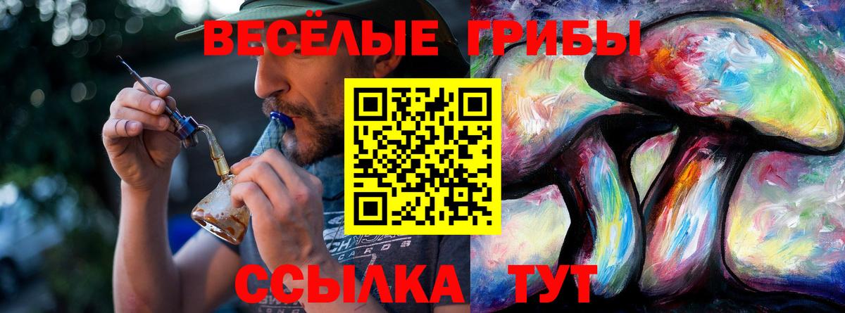Галлюциногенные грибы мицелий Горно-Алтайск