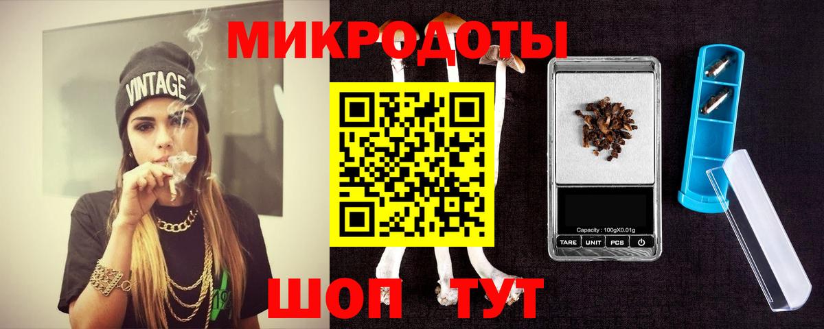 Псилоцибиновые грибы Psilocybe  Псилоцибиновые грибы ЛСД  Горно-Алтайск 